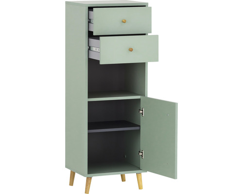 Dulap îngust cu două sertare, o ușă și două rafturi