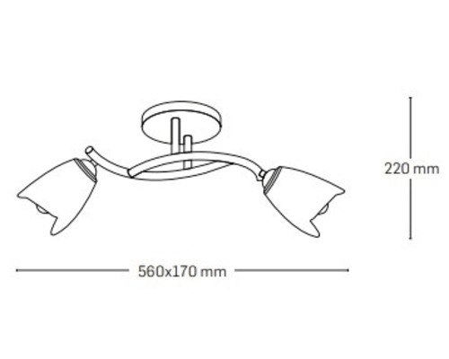 Desen tehnic al unei lămpi de tavan cu două becuri și dimensiunile 560x170x220 mm.