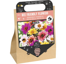 Bulbi de flori, flori prietenoase cu albinele, amestec Maya, 3 bucăți