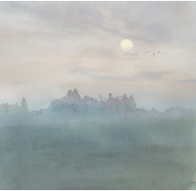 Peisaj cu câmp, copaci, ceață, lună și stol de păsări