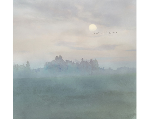 Peisaj cu câmp, copaci, ceață, lună și stol de păsări