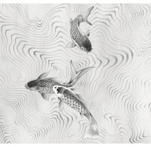 Imagine cu doi koi cu linii de apă în fundal