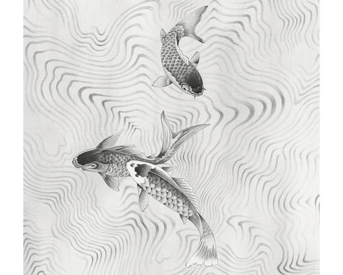 Imagine cu doi koi cu linii de apă în fundal