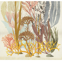 Ilustrație cu diverse tipuri de alge marine.