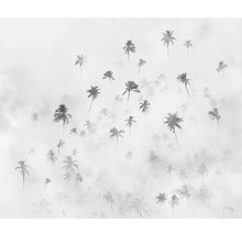 Palmierii într-o ceață densă