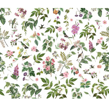 Ilustrație cu diverse flori, frunze și animale