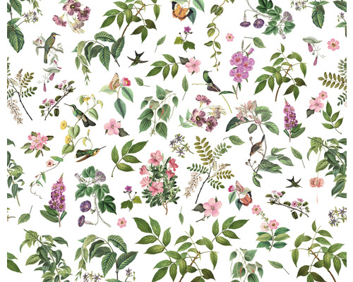 Ilustrație cu diverse flori, frunze și animale