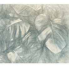 Ilustrație cu frunze tropicale