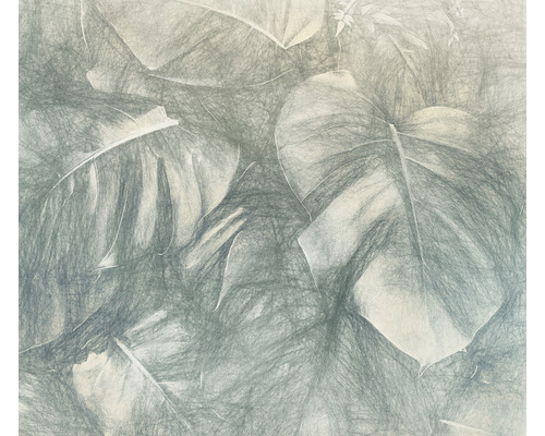 Ilustrație cu frunze tropicale