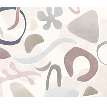 Model abstract cu forme organice