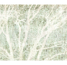 Ilustrație cu copaci și ramuri