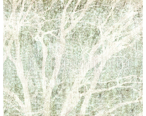 Ilustrație cu copaci și ramuri