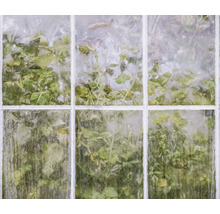 Vedere printr-o fereastră aburită spre plante verzi