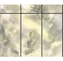 Fereastră cu motiv floral și efect de sticlă mată