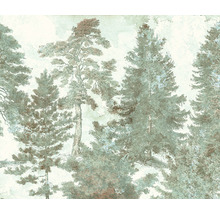 Ilustrație a unei păduri cu conifere