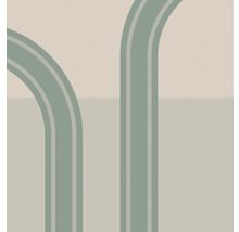 Grafică abstractă cu curbe arhitecturale și linii drepte pentru decorarea pereților