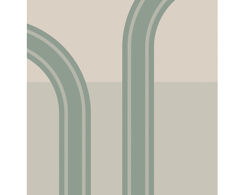 Grafică abstractă cu curbe arhitecturale și linii drepte pentru decorarea pereților