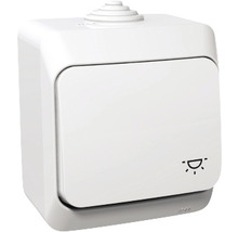 Întrerupător simplu Schneider Cedar Plus IP44, montaj aplicat, simbol pentru iluminat, alb