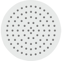 Cap de duș rotund cu mai multe duze de ieșire a apei.