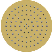 Cap de duș rotund cu multe duze