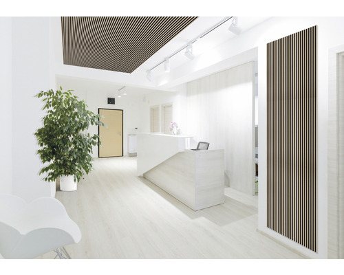 Zonă de recepție luminoasă cu tavan cu lamele din lemn, recepție și plantă de apartament