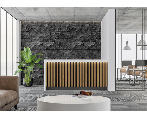 Zonă de recepție cu birou de recepție, perete de piatră și plantă de interior