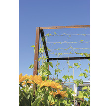 Suport metalic pentru plante cățărătoare cu flori galbene și plante