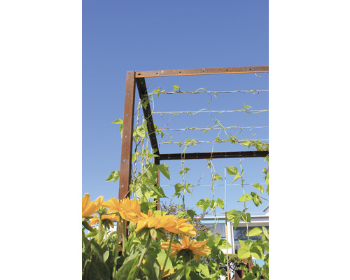 Suport metalic pentru plante cățărătoare cu flori galbene și plante