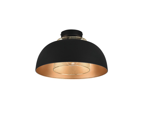 Lumină de tavan neagră cu elemente metalice