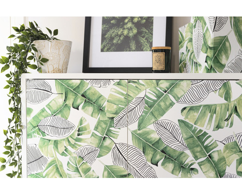 Dulap cu model de frunze, plantă la ghiveci, ramă foto și lumânare