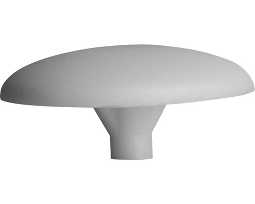 Capace mascare șuruburi cu cap cruce Dresselhaus PZ1, plastic alb Capace mascare șuruburi cu cap cruce Dresselhaus PZ1, plastic alb