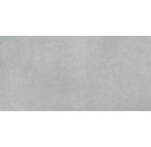 Gresie exterior / interior porțelanată rectificată Extra gri deschis 60x120 cm