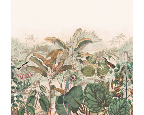 Fototapet vlies 543667 Curiosity Jungle crem terra 318x300 cm Ilustrație a unei scene tropicale luxuriante cu plante și păsări