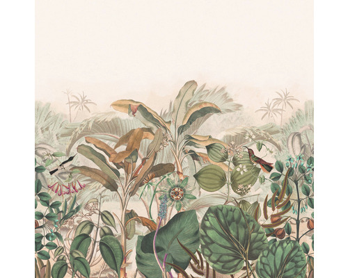 Fototapet vlies 543674 Curiosity Jungle crem terra 265x265 cm Tapetă junglă cu plante tropicale și păsări