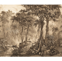Fototapet vlies 543773 Curiosity Jungle bej 318x265 cm