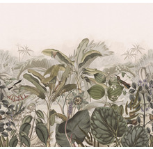 Fototapet vlies 543698 Curiosity Jungle bej 265x265 cm