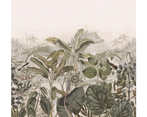 Fototapet vlies 543698 Curiosity Jungle bej 265x265 cm Tapetă decorativă cu plante și păsări în stilul junglei