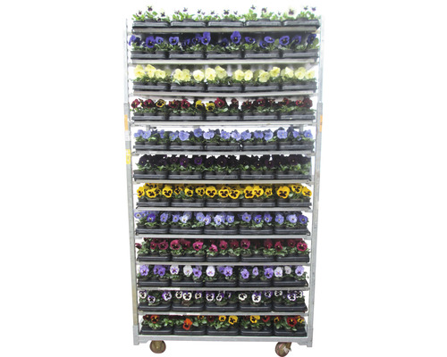 Cărucior cu flori cu panseluțe colorate pe mai multe niveluri