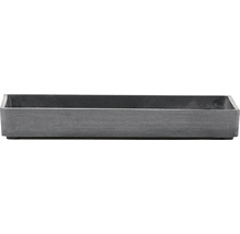 Bol dreptunghiular ghiveci Ecopots plastic 20x10x2,5 cm gri