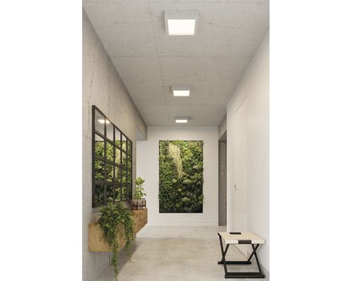 Hol cu corpuri de iluminat pătrate pe tavan, perete cu plante și bancă