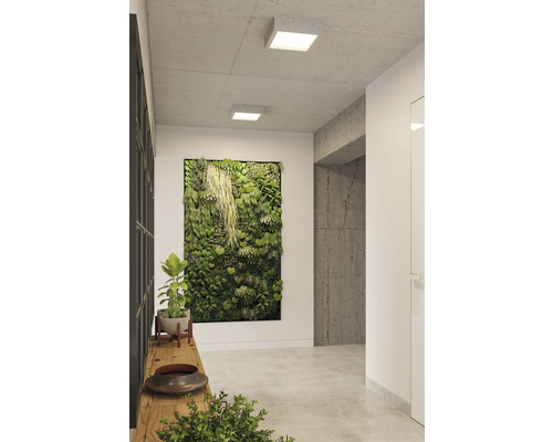 Hol luminos cu plafoniere pătrate și grădină verticală