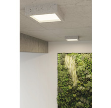 Două lămpi de tavan pătrate din beton într-o cameră luminoasă cu un perete verde
