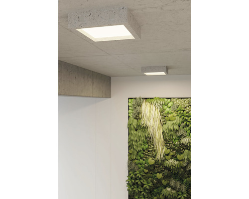 Două lămpi de tavan pătrate din beton într-o cameră luminoasă cu un perete verde