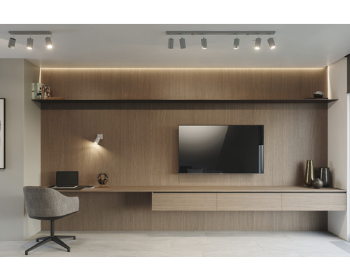 Cameră de zi cu birou, rafturi și iluminat