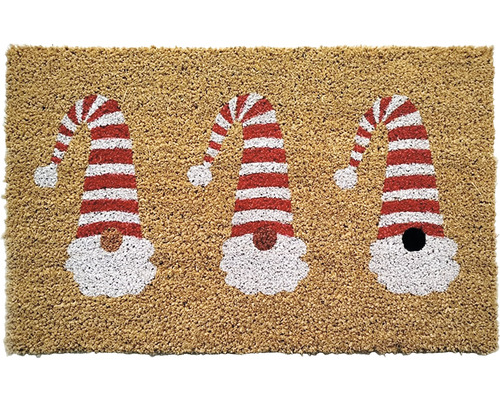 Covoraș intrare cocos Jelly bag cap 40x60 cm Covor de ușă cu motiv gnom