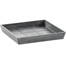 Farfurie pătrată Ecopots plastic 29,6x29,6x3 cm gri
