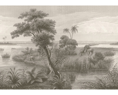 Fototapet vlies 556155 Lirico Junglă maro 424x300 cm Tapet cu peisaj african, inclusiv elefanți și vegetație tropicală