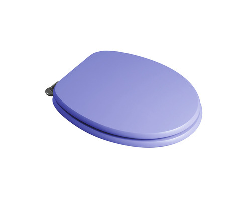 Capac WC din plastic