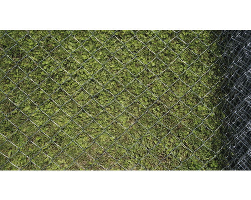 Gard din sârmă împletită peste iarbă