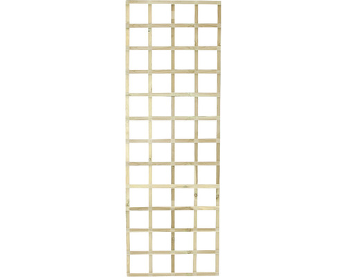 Spalier plante lemn de pin 60x180 cm Grilaj din lemn pentru sprijinirea plantelor în grădină